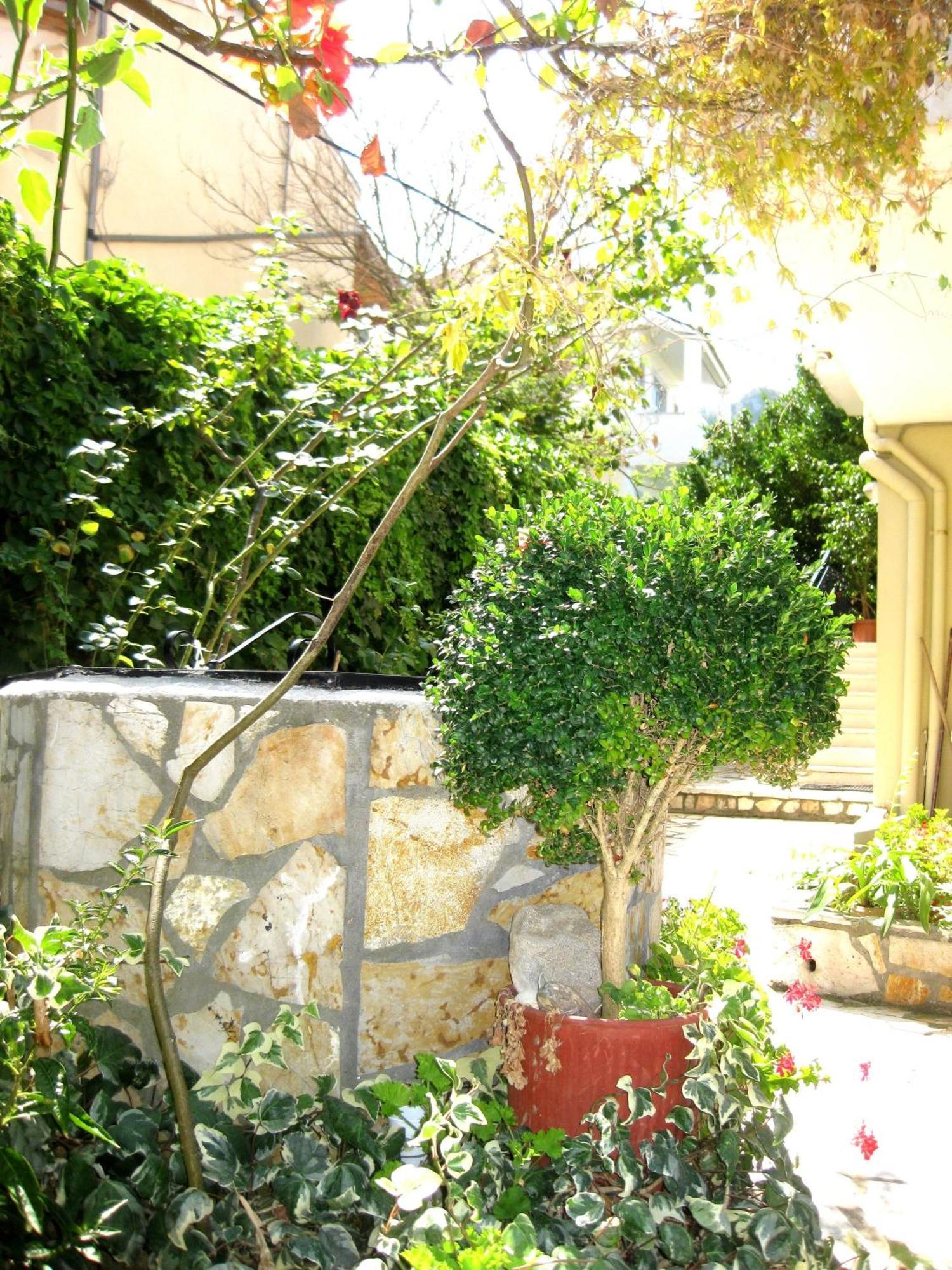 Danae Apartments Agios Gordios  Exterior photo